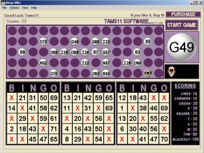 Bingo Blitz screenshot